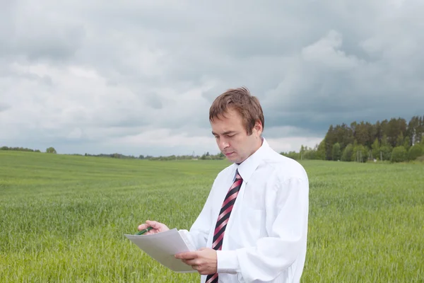 Businessman in field. Royalty Free Stock Images