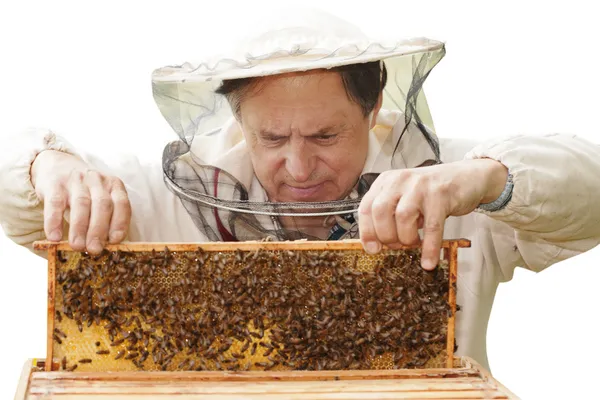 Пчеловод. — стоковое фото
