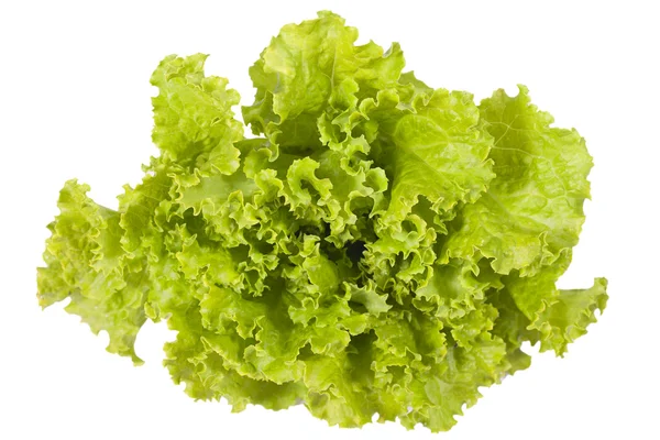 Sla Salade. — Stockfoto
