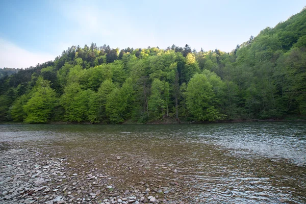 stock image Dunajec river.