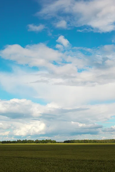 stock image Sky and field.