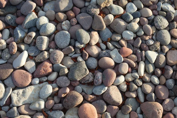 Kameny. — Stock fotografie