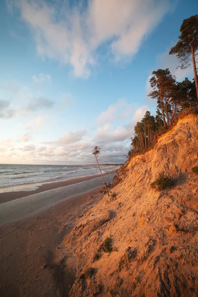 Côte Baltique, Lettonie . — Photo