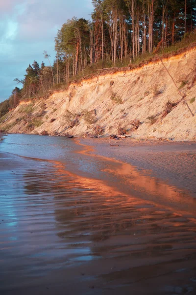 Baltık kıyıları, Letonya. — Stok fotoğraf