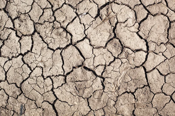 Dry soil. — Stock Photo, Image