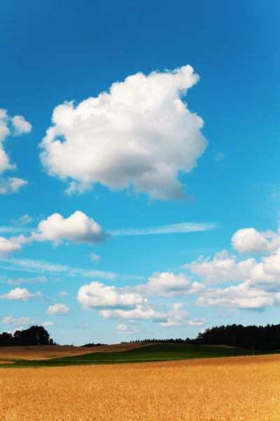 Chmury. — Zdjęcie stockowe