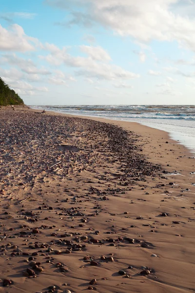 Берег Балтийского моря . — стоковое фото