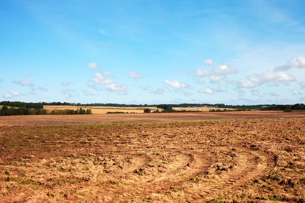 Сельский пейзаж. — стоковое фото