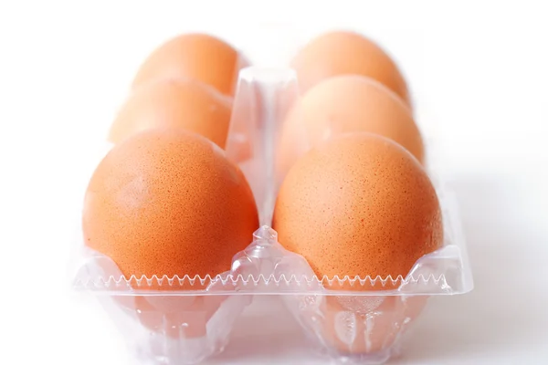 6 yumurta. — Stok fotoğraf