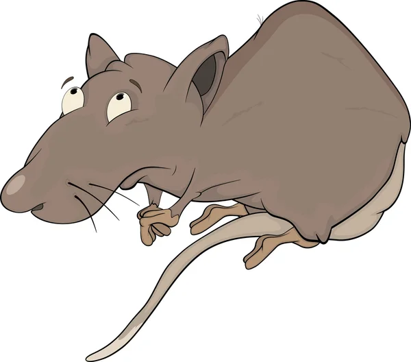House rat. Cartoon — Stock Vector