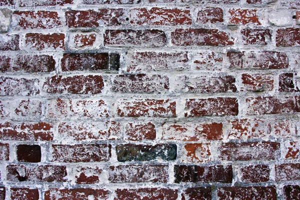 旧砖墙 — 图库照片