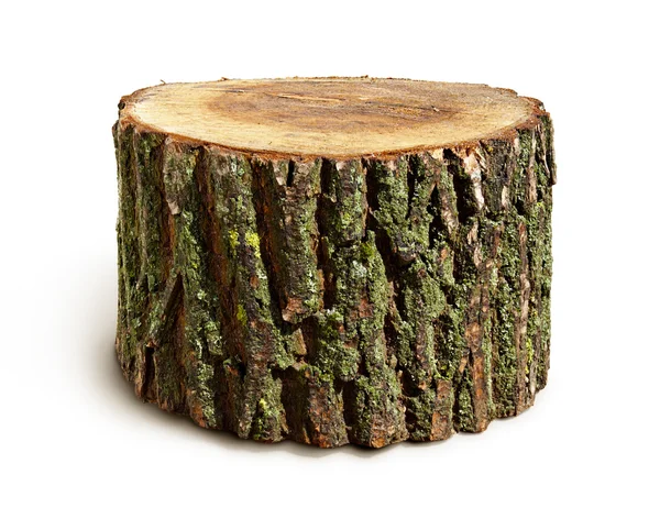 Stump isolated — Stock Photo, Image