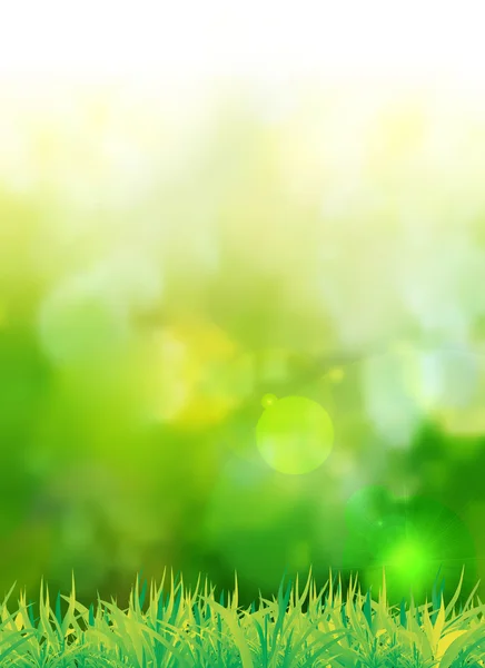 Fond vert naturel avec mise au point sélective — Image vectorielle