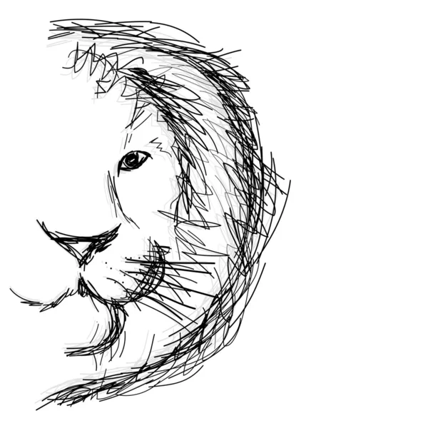 Bosquejo de la cabeza de león para su diseño — Vector de stock