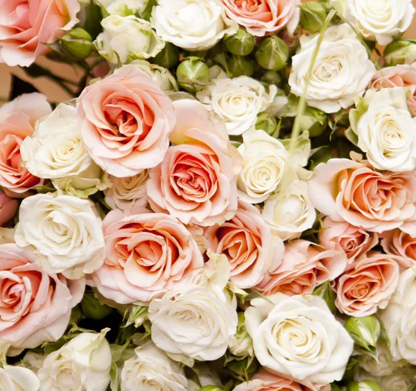 Floral φόντο για το σχέδιό σας, τριαντάφυλλα — Φωτογραφία Αρχείου