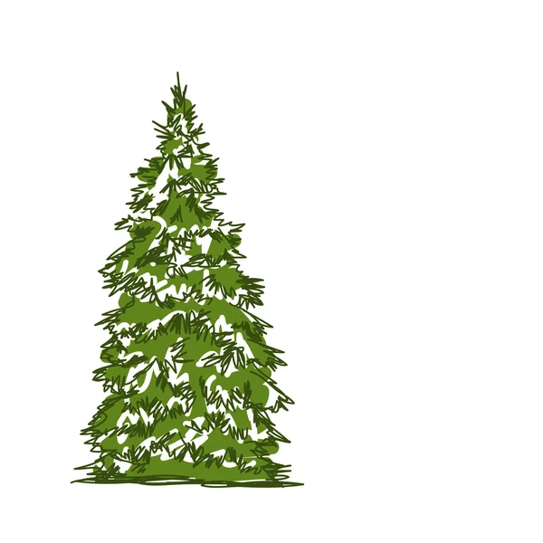 Drzewo sosny na białym tle, szkic do projektowania — Wektor stockowy