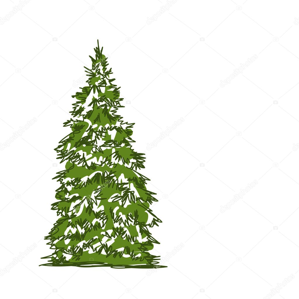 Pine tree isolated on white, sketch for your design