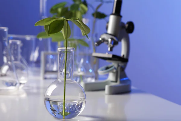생물학 laborotary에 녹색 식물 — 스톡 사진