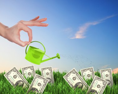 Human hand watering money tree clipart