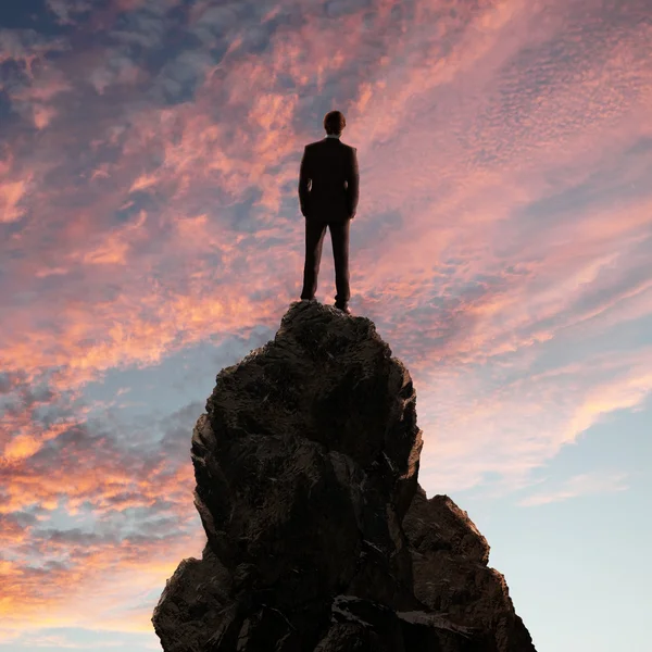 Empresario en la cima de una alta montaña — Foto de Stock