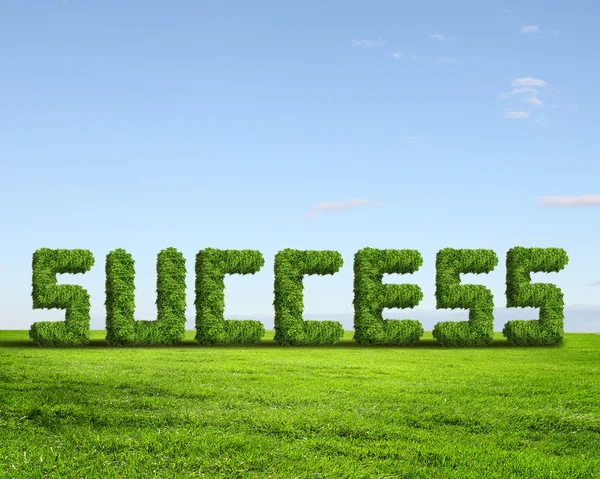 Groen gras woord succes — Stockfoto
