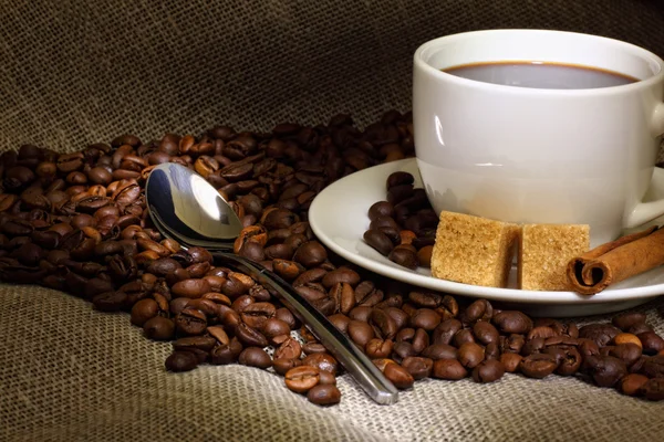 Kávébab és fehér csésze — Stock Fotó