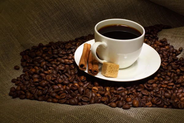 Coffee beans and white cup — Stock Photo, Image