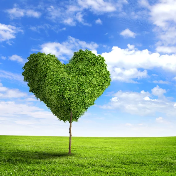 Zielona trawa serce symbol — Zdjęcie stockowe