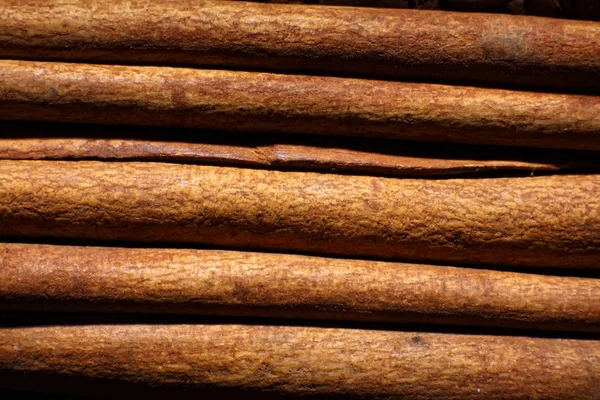 stock image Image of several cinnamon sticks