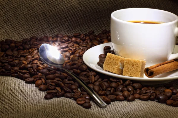 Кофейные зерна и белая чашка — стоковое фото