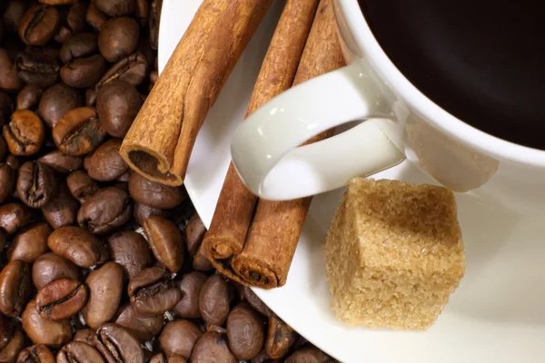 Kaffebönor och vit kopp — Stockfoto