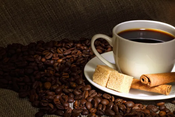 Kávébab és fehér csésze — Stock Fotó
