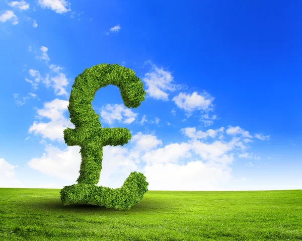 Green grass UK pound symbol — Stock Photo, Image