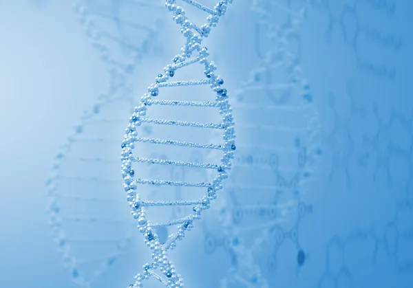 Иллюстрация цепочки ДНК — стоковое фото