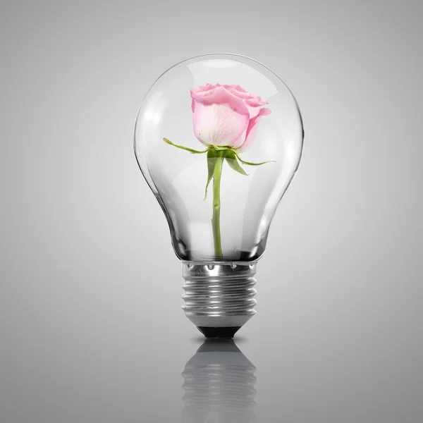 電球およびそれの中の花 — ストック写真