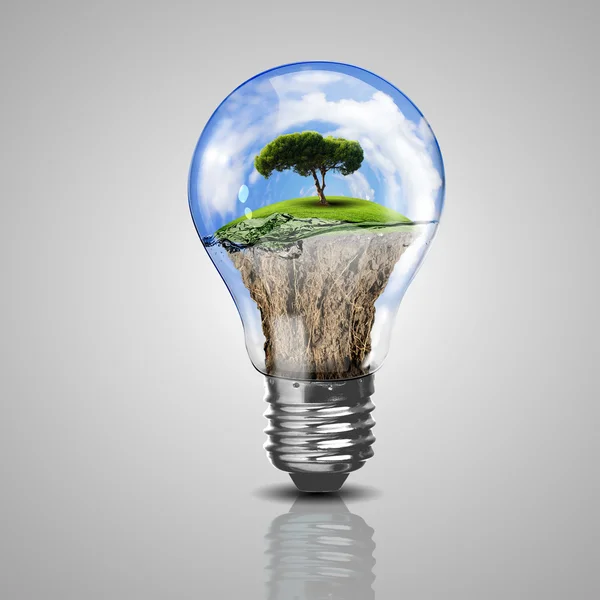 Electric light bulb and a plant inside it — Stock Photo, Image