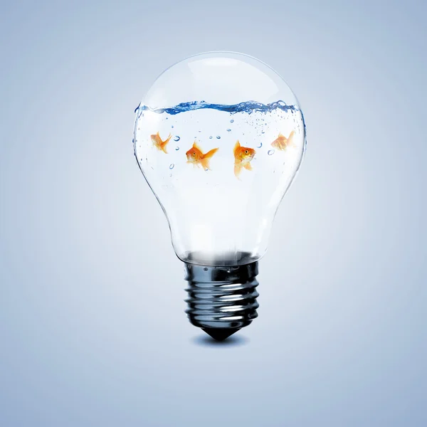 Золота риба всередині електричної лампи — стокове фото