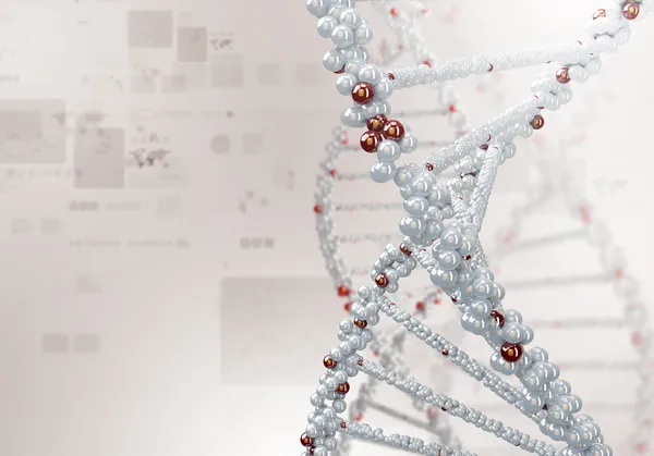 Иллюстрация цепочки ДНК — стоковое фото