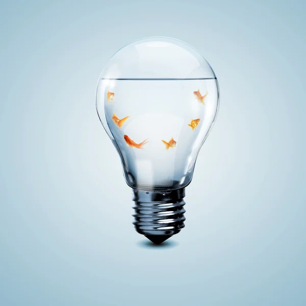 Gold fish inside an electric bulb — Stock Photo, Image