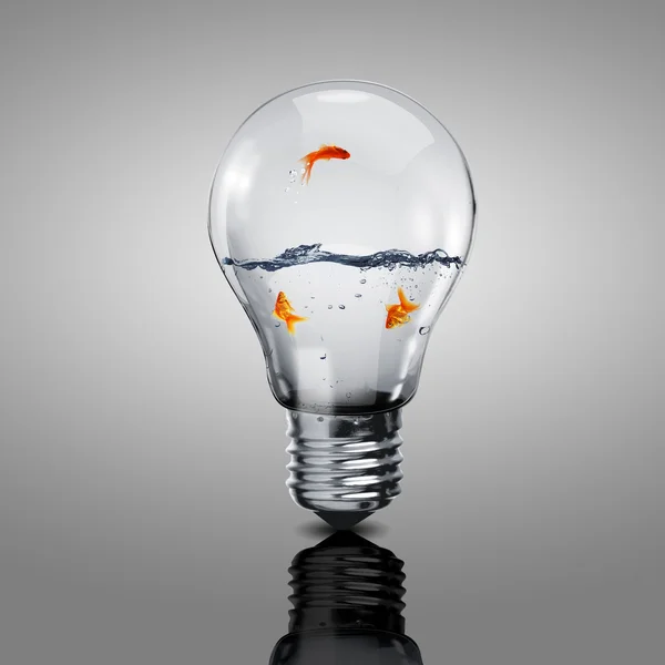 Gold fish inside an electric bulb — Stock Photo, Image