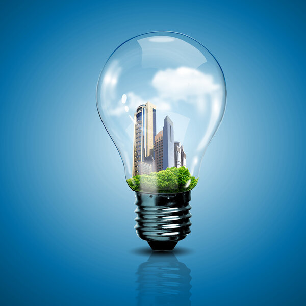 Электрическая лампочка и растение внутри
