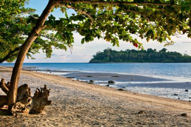 adanın koh Chang Tayland.