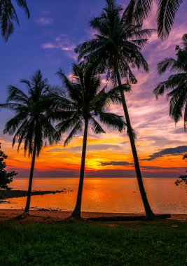 Evening on the beach of the island of Koh Chang in Thailand clipart