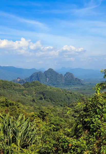 El valle tropical con selvas tropicales y montañas — Foto de Stock