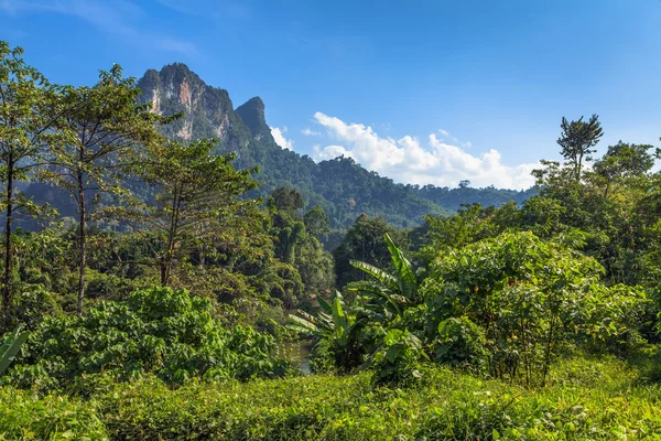 Paesaggio tropicale con foreste pluviali — Foto Stock