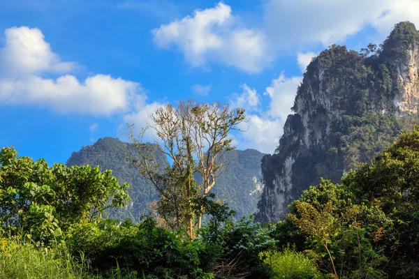 Tropikalny krajobraz z lasów deszczowych — Zdjęcie stockowe