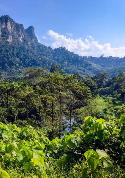 Tropische Landschaft mit Regenwäldern — Stockfoto