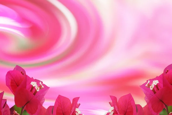 Pink Flowers On Twirl — Stock Photo, Image