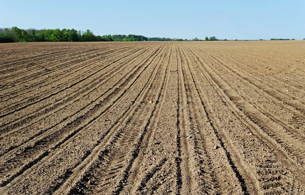 Natural plowed field. — Stock Photo, Image