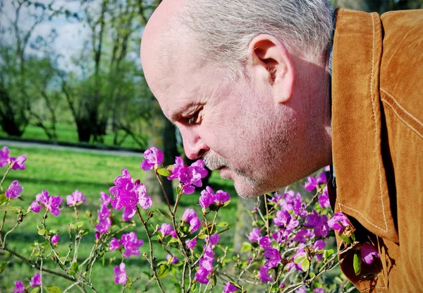 Muž šňupání květ. — Stock fotografie
